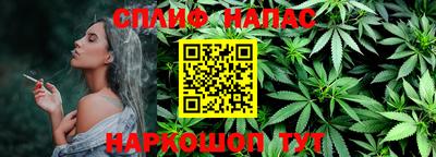 мдпв Донской