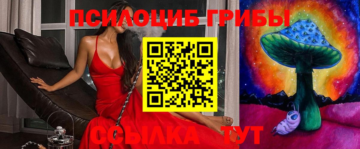 Псилоцибиновые грибы прущие грибы  Вход с VPN  Медногорск 