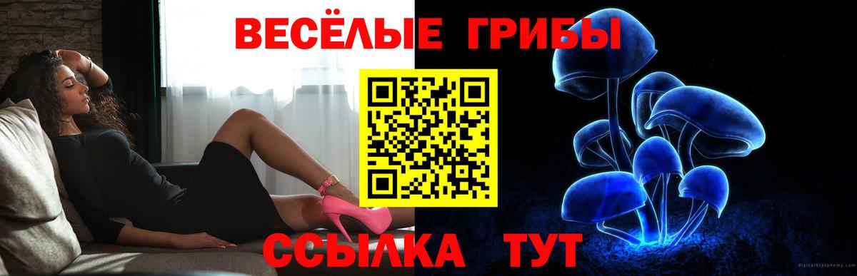 Псилоцибиновые грибы GOLDEN TEACHER Медногорск